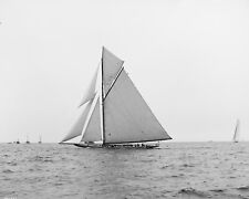 Early 1900's, Yacht, Sailboat, Independence, Photo, New Picture Reproduction picture