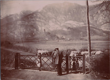 France, Berger and his herd at the foot of the mountains, vintage print, ca.1890 shot picture