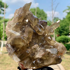 410G  Natural Himalayan Black Smoked Crystal Meditation Energy Crystal cluster picture