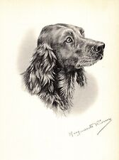 Antique Marguerite Kirmse Irish Setter Print Hunting Dog Wall Art Decor 5027a picture