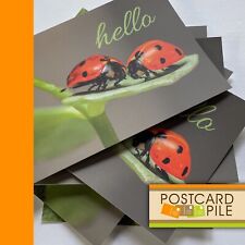 Hello Ladybugs On Leaf Set Of 5 Postcards unused Postcard Lot Photo Greeting picture