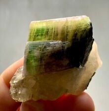188 Carat Bi color tourmaline crystal with Quartz Specimen from Afghanistan picture