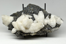 Calcite with Galena and Pyrite - Buick Mine, Iron Co., Missouri picture