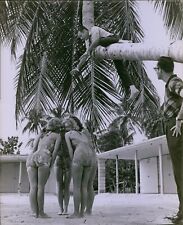 LG821 1961 Original Ron Wahl Photo ORANGE BOWL QUEEN Gorgeous Ladies Swimsuit picture