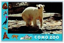 St. Paul Minnesota MN Postcard Como Zoo Polar Bear Winters c1960 Vintage Antique picture