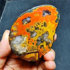 RARE 83g Natural Warring States Red Agate Crystal Healing  39x69 picture