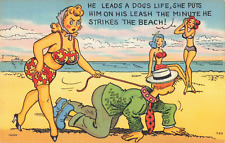 Kenoza Lake New York, Femdom Husband on Leash Comic Humor, Vintage Postcard picture
