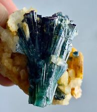 195 Cts indicate Tourmaline Crystal Bunch Specimen From Afghanistan picture