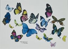 Vintage Greeting Card Wild Butterflies By Valerie Pfeiffer National Wildlife P1 picture