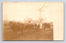 RPPC Cattle Farmers Horse Cart Wagon FA Withers Art Studio Pratt KS Postcard picture