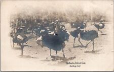 1914 SAN DIEGO, California Real Photo RPPC Postcard 