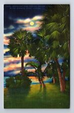 FL-Florida, Moonlight over Tropical Waters in Florida, Vintage Postcard picture