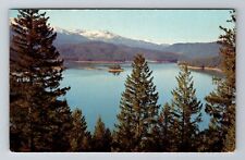 Trinity Lake CA-California, Birds Eye View Trinity Lake Antique Vintage Postcard picture