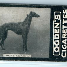 1901 Ogden's Tobacco Card Home Circuit Essex Greyhound Derby Tab Cigarettes C30 picture
