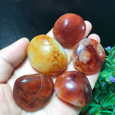 5pcs 131g Natural Red Agate Palm Stone crystal quartz Tumbled mineral Healing 93 picture