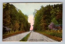 Lonoke AR-Arkansas, Lover's Lane, Antique, Vintage c1909 Souvenir Postcard picture