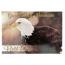 Postcard Great American Mountians National Park Bald Eagle, Souvenirs of smokies picture
