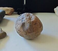 Prehistoric Paleo-American, stone art, fossilized egg sculpture, multi-tool. picture