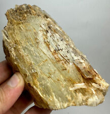 544 Gram Kunzite Huge Crystal Piece From Afghanistan picture