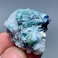 49 Carat Indicolite  Tourmaline Crystal Specimen From Afghanistan picture