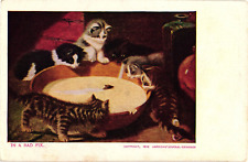 1906 IN A BAD FIX Kittens Looking at Mouse Swimming in Basin Antique Postcard picture