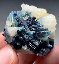 140 Carat Indicolite Tourmaline Crystal Bunch Specimen From Afghanistan picture