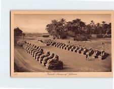 Postcard Karnak Avenue of Sphinxes Egypt Middle East picture