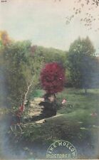 Pine Hollow Wisconsin, October Scenery Hand Colored VTG RPPC Real Photo Postcard picture