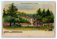 c1910 Transparentpostk Meteor Gruss Aus Friedrichsruh Germany Vintage Postcard picture