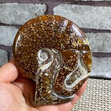 260g Rare natural polished Natural conch fossil specimens of Madagascar  d403 picture