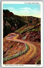 c1920s Turkey Creek Canon Denver Mountain Parks Colorado CO Linen Postcard H11 picture