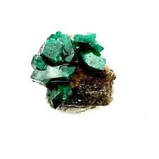 Matrix Dioptase Crystal Mineral Specimen DR Congo Africa Display Cluster 5 Gram picture