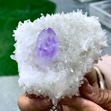 251G Natural Transparent Chrysanthemum crystal Cluster with Amethyst Specimen picture