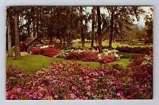 Orangeburg SC-South Carolina, Edisto Memorial Gardens, Vintage Souvenir Postcard picture