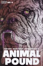 Animal Pound #4B Stock Image picture