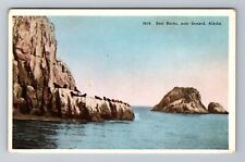Seward, AK-Alaska, Seal Rocks Antique, Vintage Postcard picture