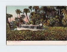 Postcard Water Hyacinth Florida USA picture