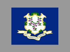 Connecticut State Flag Die Cut Glossy Fridge Magnet picture