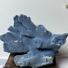 Vintage Blue Ridge Natural Reef Cut Coral Specimen Deep Blue Color Nice Piece picture