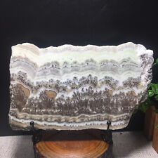 511g Natural Bonsai Calcite Water Grass Picture Rock Rare Stunning Viewing 03H picture