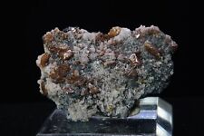 Wulfenite / Mineral Specimen / Tsumeb Mine, Namibia picture