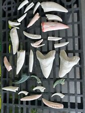 lot of dinosaur cast replica fossils picture
