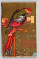 Dozier Weyl Parrot Eating Cracker Co St Louis P149 picture