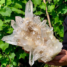 10.48LB Newly discovered white  Phantom Quartz Crystal Cluster mineral samples picture