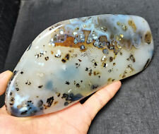 TOP 555 G  Natural Polished Aquatic Plants Agate Crystal Madagascar EE165 picture