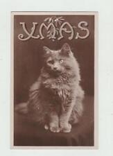 Vintage Real Photo Postcard RppC Merry Christmas Xmas Cat picture