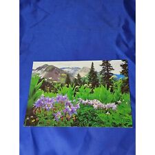 Columbine Colorado's State Flower Cumberland Basin Postcard Chrome Divided picture