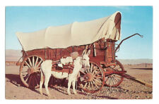 Donkey Burro Postcard Wagon Old West picture