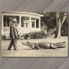 POSTCARD Alligator Old Fashioned Retro Florida Gator Strange Man Weird House picture
