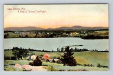 Union ME-Maine, Scenic Views Seven Tree Pond, Antique Vintage Postcard picture